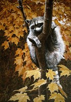 Up A Tree Fine Art Print