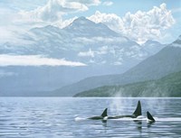 Inside Passage Fine Art Print