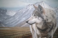 Distant Mountains Fine Art Print