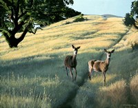 Under The Oak Fine Art Print