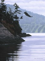 Two Eagles Fine Art Print