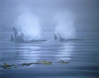 Lifting Fog Fine Art Print