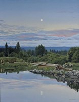 Lunar Reflection Fine Art Print