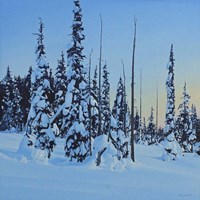 Snowy Forest Fine Art Print