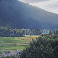 St Marys Valley Fine Art Print