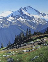 Summer Mountain Fine Art Print