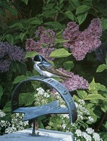 The Sundial Fine Art Print