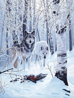 Fire And Ice Fine Art Print