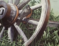 Fat And Sassy - Robin Fine Art Print