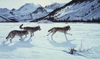 On The Run - Wolf Pack Fine Art Print