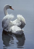 Calm Water Fine Art Print