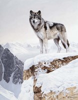 Snow Bound Fine Art Print