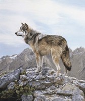 Alpine Lookout Fine Art Print