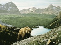 Lake O'Hara Fine Art Print