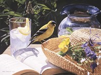 Goldfinch On Straw Hat Fine Art Print