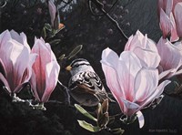 Sparrow In Magnolia Fine Art Print