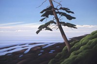 Western Shore Fine Art Print