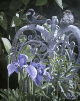 Old Wicker Fine Art Print