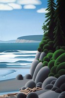 Driftwood Fine Art Print