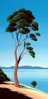 Island Arbutus Fine Art Print