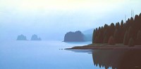 Meares Island Fine Art Print