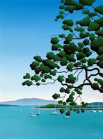 Spreading Oak Fine Art Print