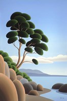 Arbutus Point Fine Art Print