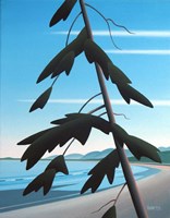 Leaning Fir Fine Art Print