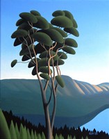 Hillside Arbutus Fine Art Print