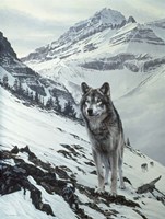 Winter Crossing - Wolf Fine Art Print