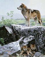 The Guardian Fine Art Print