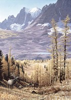 The Rockwall Fine Art Print