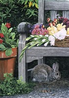 Garden Visitor Fine Art Print