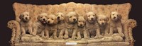 Golden Pup Line-Up Framed Print
