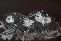 Rodents Fine Art Print
