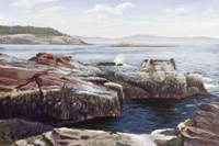 Thunder Hole Fine Art Print