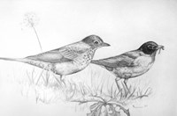 Two Bird Study Fine Art Print