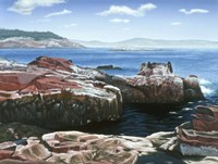 Rocky Coastline Fine Art Print