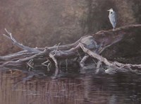 Great Blue Fine Art Print