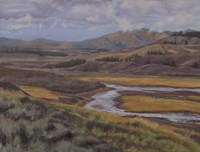 Hayden Valley Fine Art Print