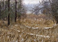 Kensington Metro Park Trail Fine Art Print