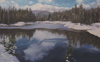 Near Lewis Lake Fine Art Print