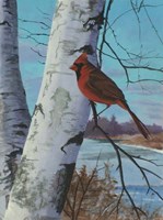 Painting For Red Bird Fine Art Print