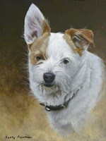 Daisy Mae Fine Art Print