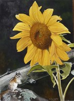 Sunflower and Chipmunck Fine Art Print