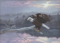 The Huron Eagle Fine Art Print