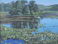 Sunday Swans Fine Art Print