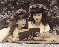 Best Friends Fine Art Print