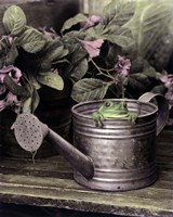 Lucky Fine Art Print