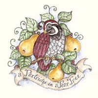 A Partridge In A Pear Tree Fine Art Print